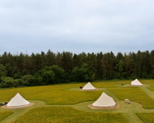 Forest Edge Glamping