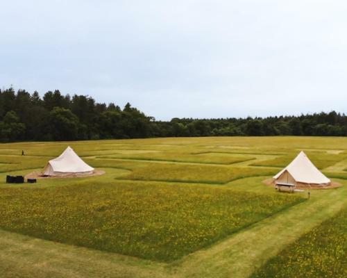 Forest Edge Glamping