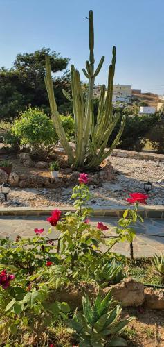 Apartamento Villa Christina