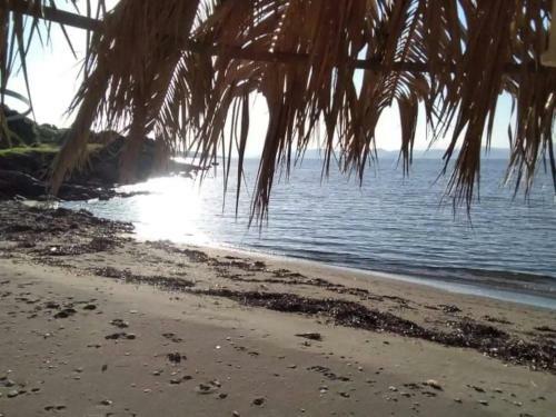 Villa Evia Escape