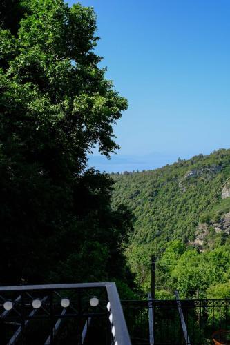 ??????????? ???????????? ????????? ??? ???????- Traditional Villa In Vizitsa, Pelion