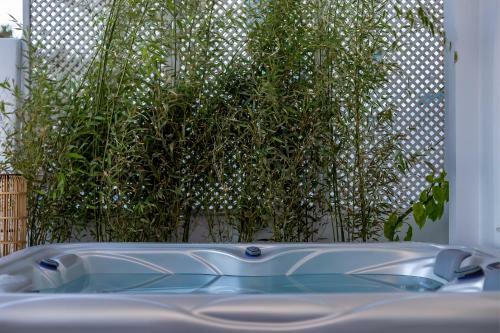 Hotel Divino Suites
