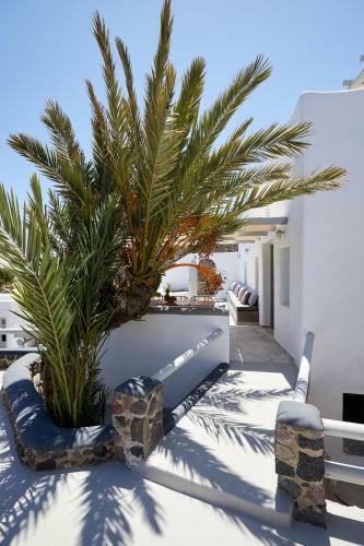 Villa El Verano Suites