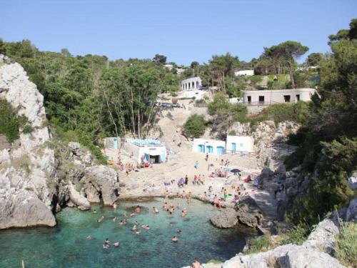 Lovely Apartment In Diso With Private Terrace
