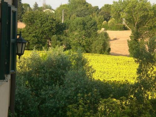 Bed & Breakfast I Ciliegi