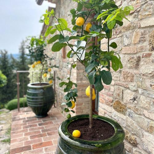 Apartamento Mummialla Gambassi Terme Toscana