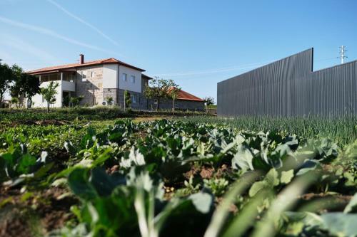 Villa Aldeia Da Quinta Do Pa�o