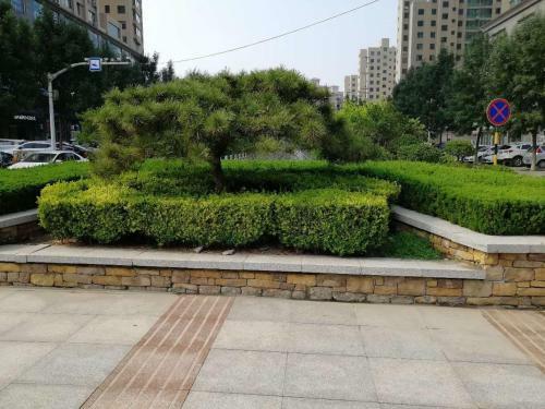 Lavande Hotel Yishui Wande Plaza