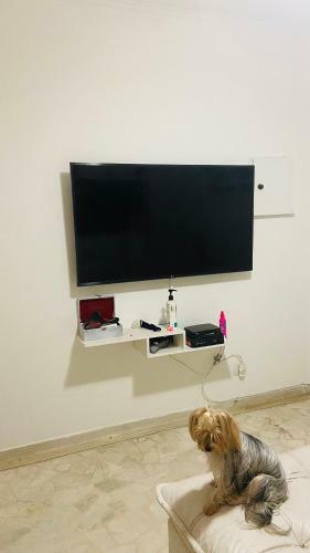 Apartamento Ap Pet Friendly Frente Ao Mar