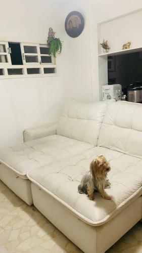 Apartamento Ap Pet Friendly Frente Ao Mar