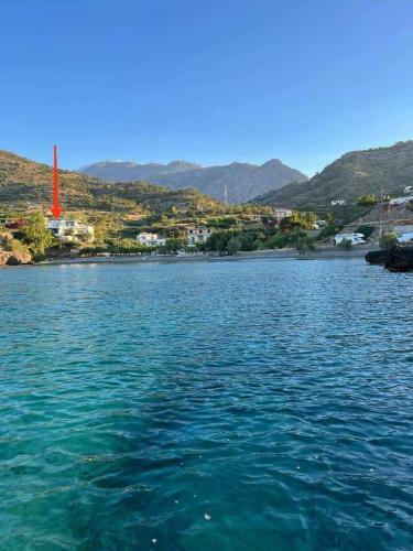 Bay Divino