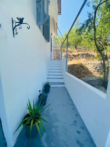 Apartamento Exanthia Sunset