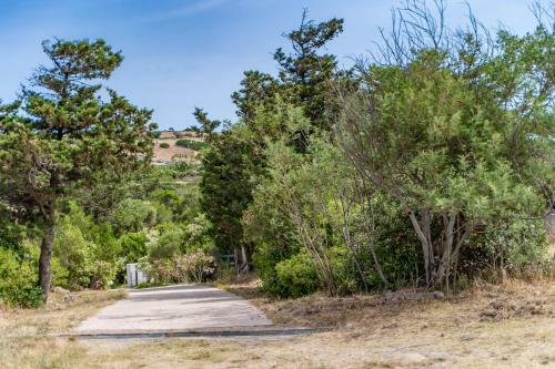 Apartamento Rustico 2 Con Vista