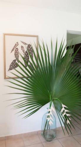 Apartamento Casa Bohique Tropical Rainforest Getaway