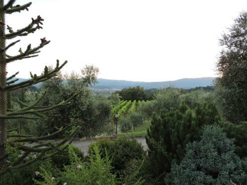 Agroturismo Savernano