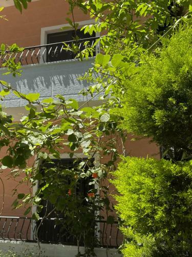 Hostal Villa Klinton