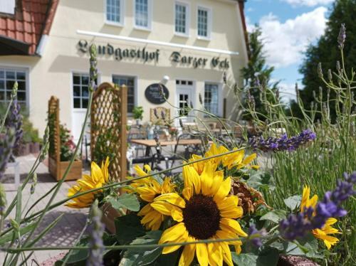 Posada Landgasthof Darzer Eck