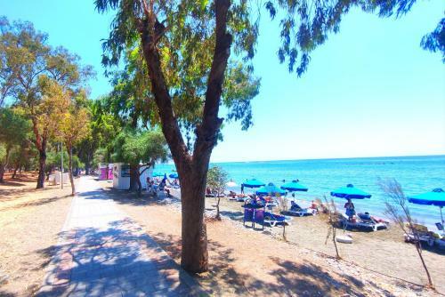 Andri's Spacious Apartment Near The Beach