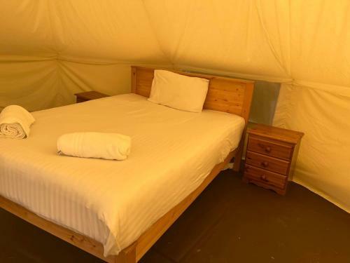 Tipi - Pengarreg