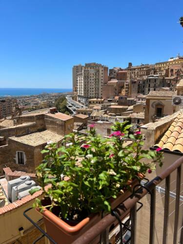 Hostal Calua Luxury Rooms