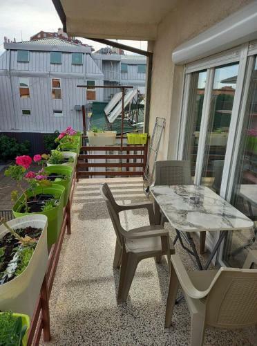Apartmants Djekovi