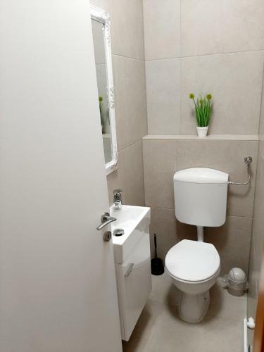 Apartamento Maximus 2