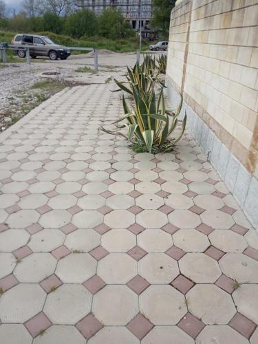 Apartamento ???????? ?????