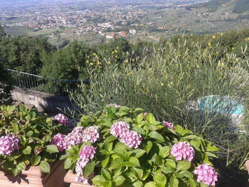 Agroturismo La Rocca Del Maestrino