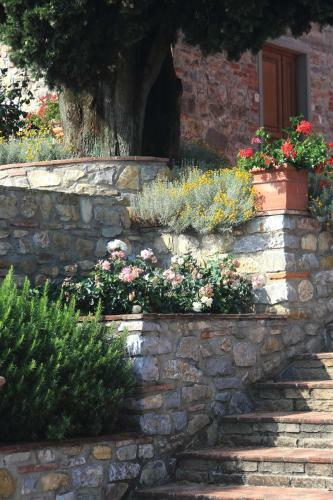 Agroturismo La Rocca Del Maestrino