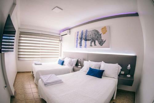 Apartamento Suite De 5! Centro De Scz + Desayuno De Regalo