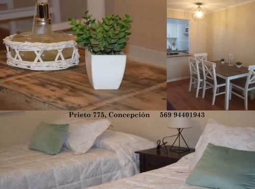Apartamento Departamento
