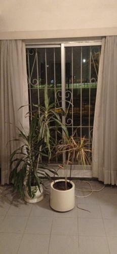 Casa En Punta Gorda