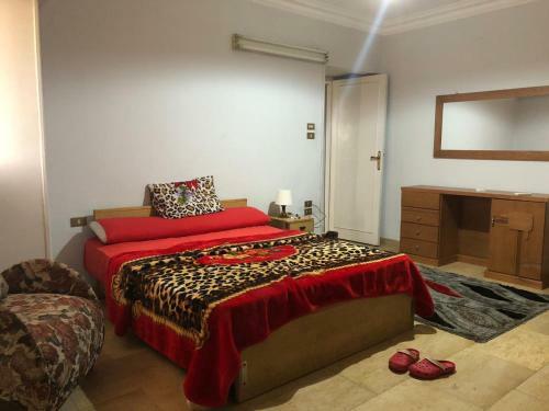 Apartment On The Nile River Tahrir Square And Downtown Cairo