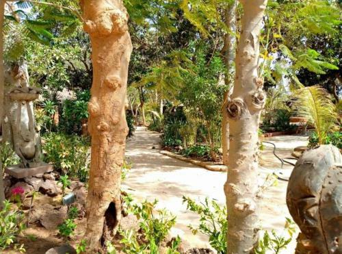 Hostal T�rangalux Sublime Bungalow 90 M2 Saly Joseph