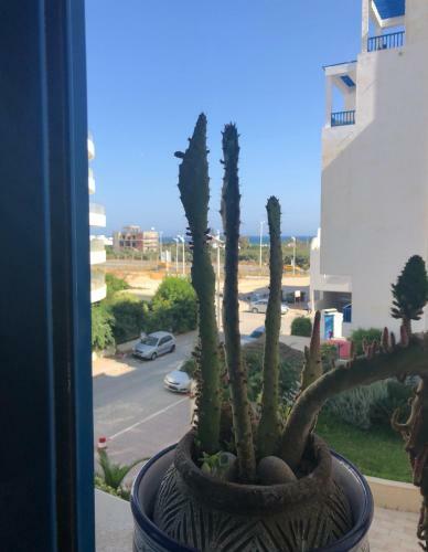 Apartamento Spacious Studio Near The Beach