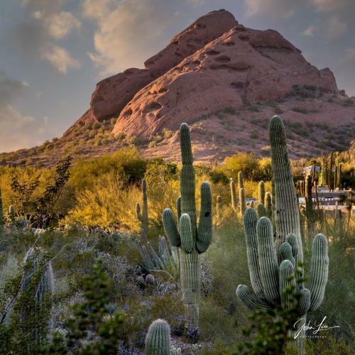 Blissful Zen Close To Old Town Scottsdale.