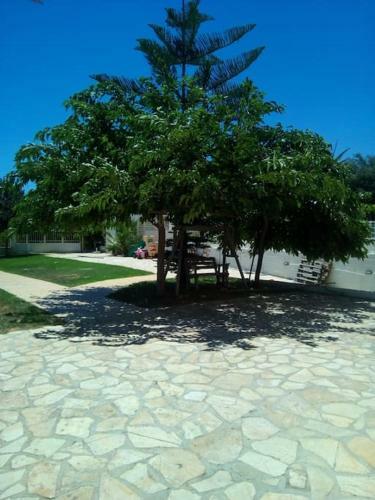 Apartamento ??????? ????? ???????? ??? ???????? 5' ??? ??? ???????!