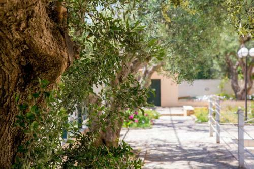 Apartamento New-olivaholidayhomes - Boho Studio Pool