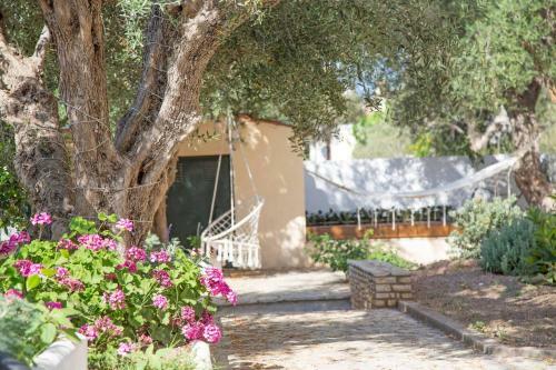 Apartamento New-olivaholidayhomes - Boho Studio Pool