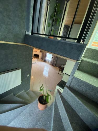 Hostal Buo's Guest House