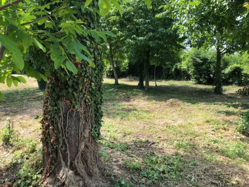 Apartamento Borosty�n Porta Lesencetomaj