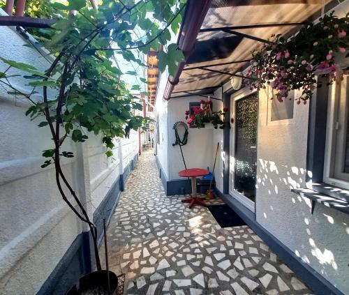 Casa Ioan