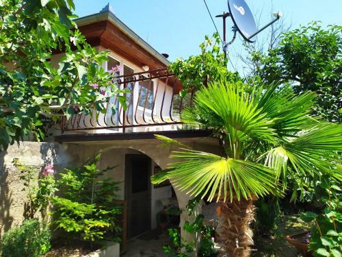 Lili House