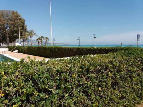 Apartamento Benicasim Primera Linea