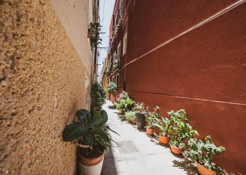 Appartamento Agave - Quartiere Castello
