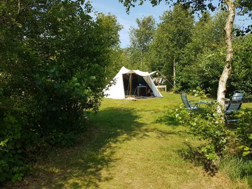 Ameland Tentenverhuur Ameland