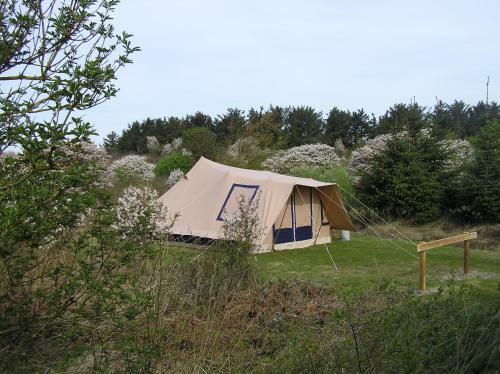 Ameland Tentenverhuur Ameland