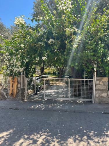 Elia House Selimiye