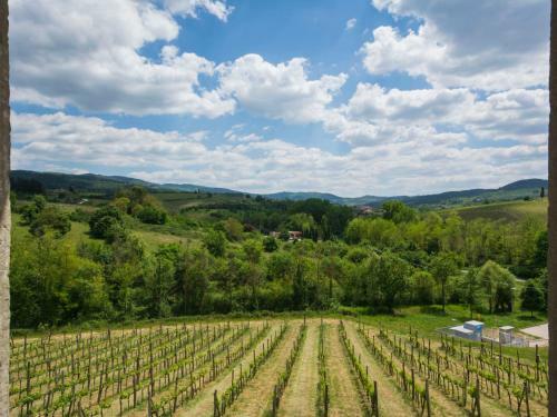 Holiday Home Selvapiana Greve In Chianti