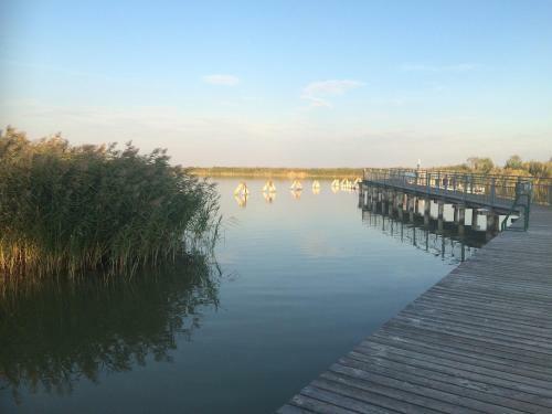 Hostal Andreashof M�rbisch